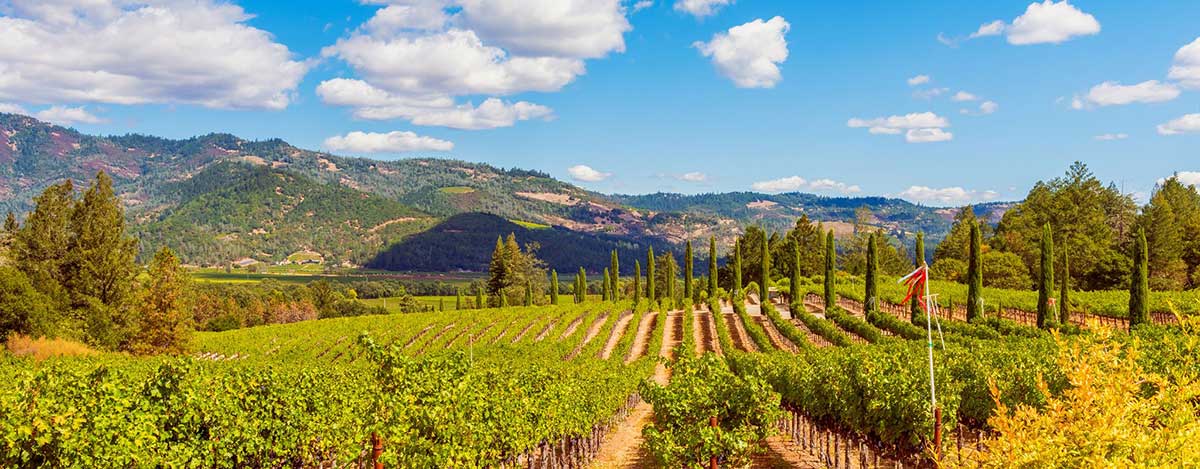 Winery